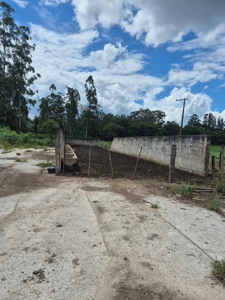 Fazenda, 174 m² - Foto 6