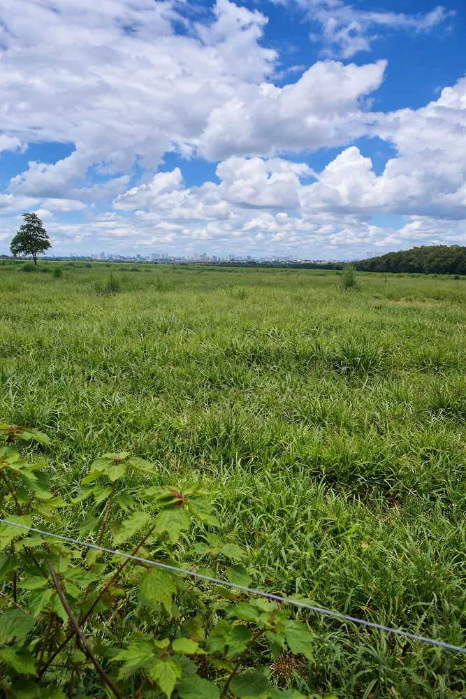 Fazenda, 174 m² - Foto 16