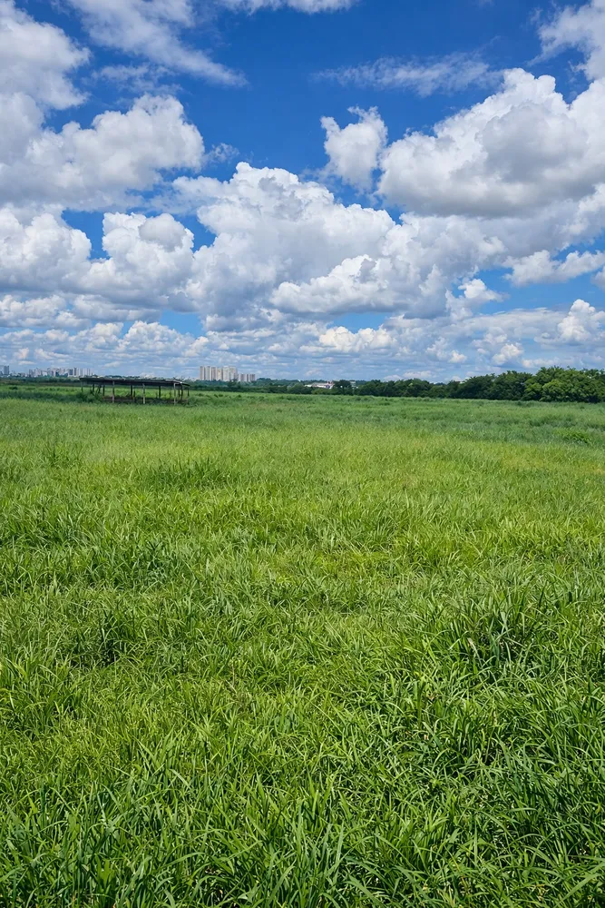 Fazenda, 174 m² - Foto 17