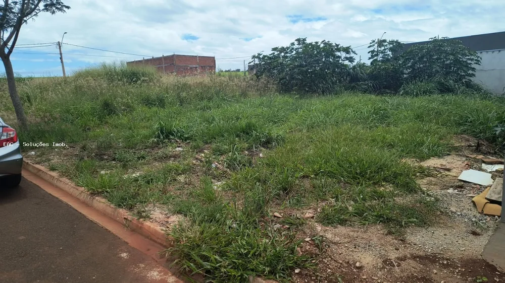 Terreno, 200 m² - Foto 6