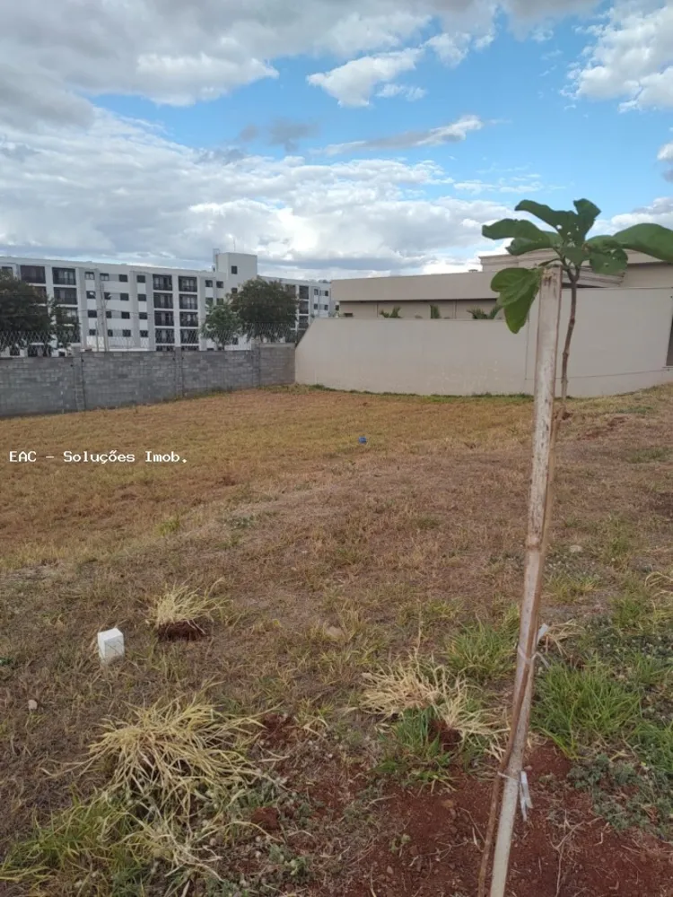Terreno, 263 m² - Foto 6