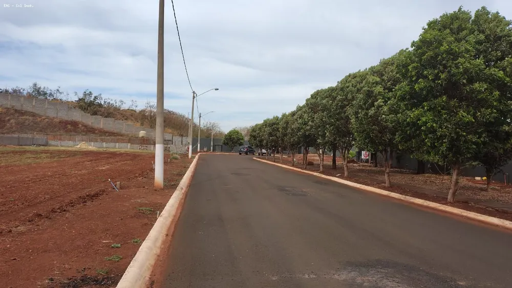 Terreno, 250 m² - Foto 7