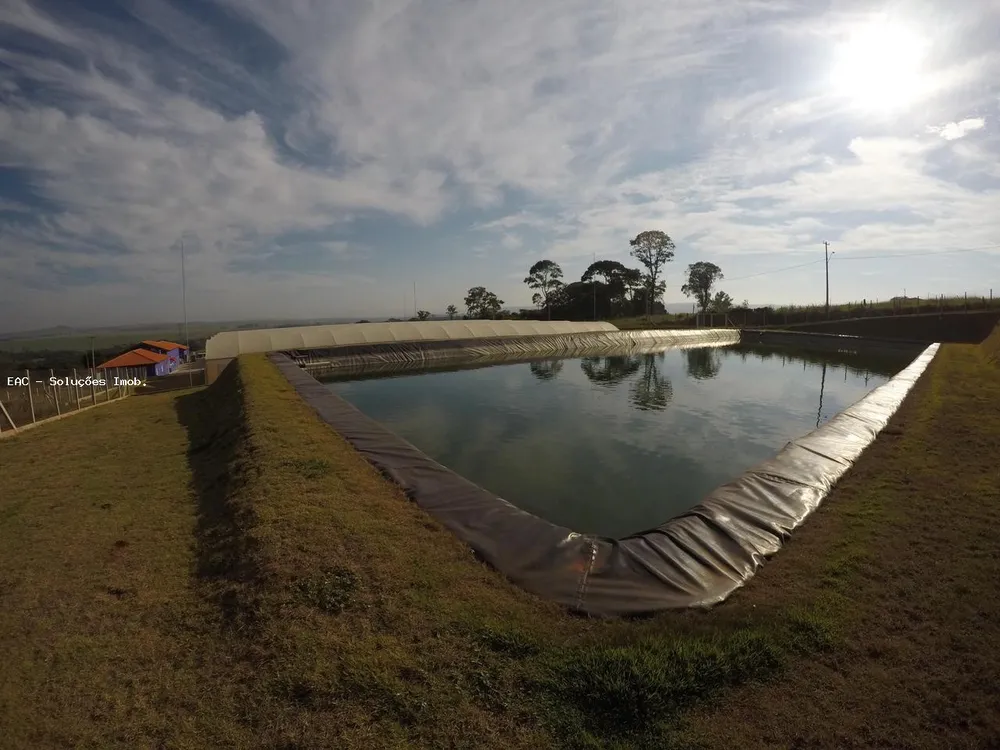Fazenda, 13 hectares - Foto 16