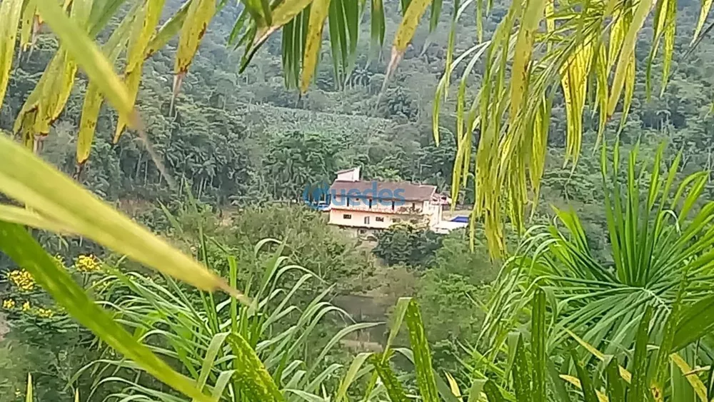 Fazenda, 36 hectares - Foto 1