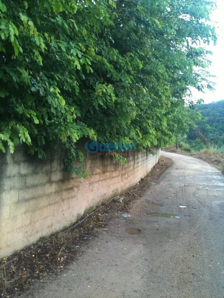 Fazenda, 36 hectares - Foto 3
