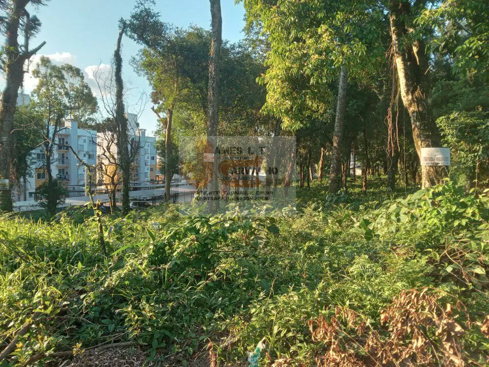 Terreno - Foto 4