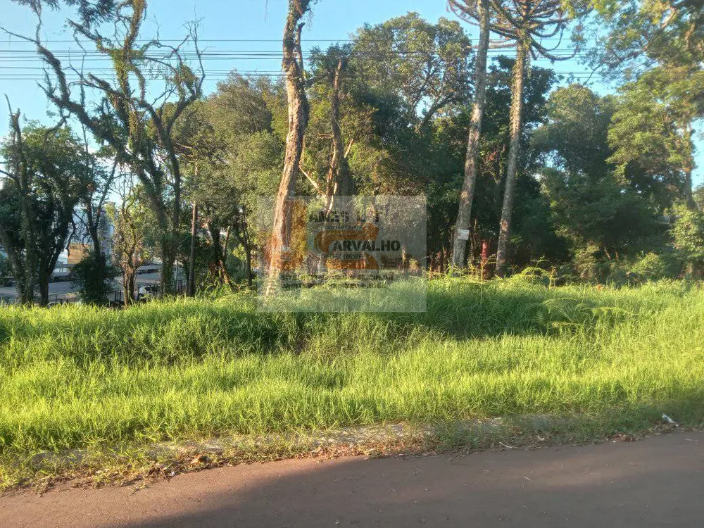 Terreno - Foto 3