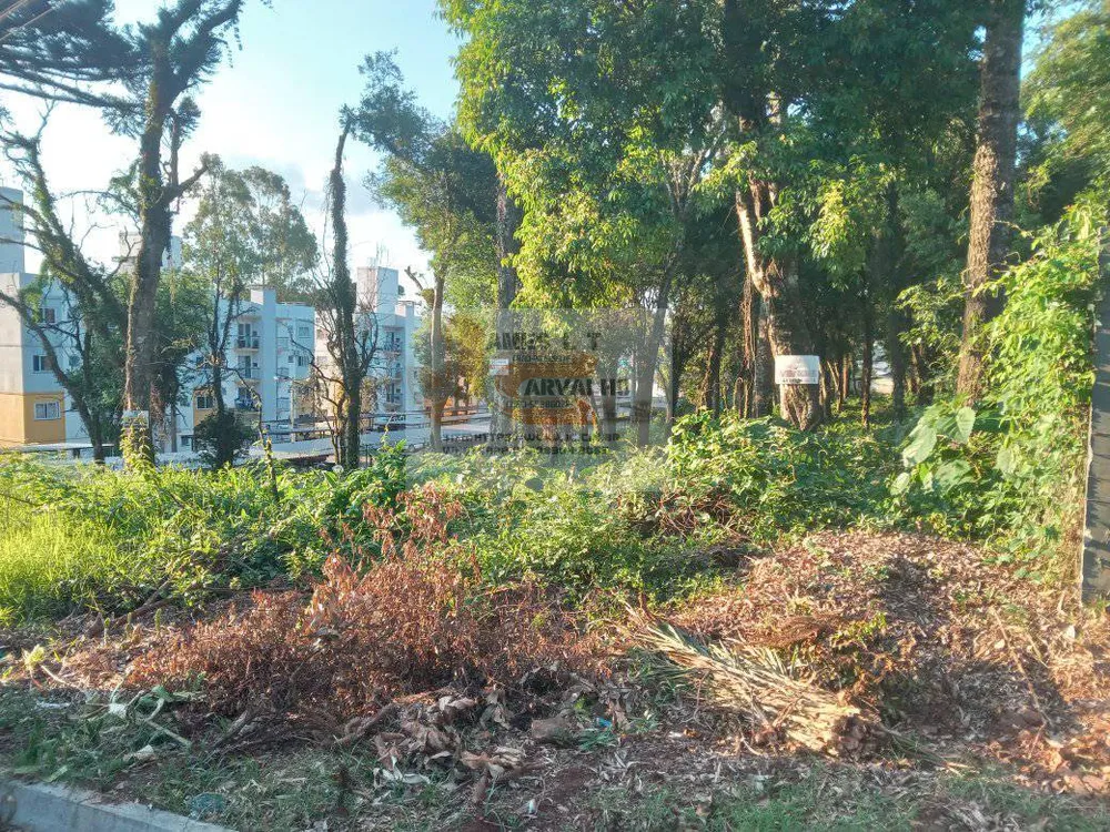 Terreno - Foto 2