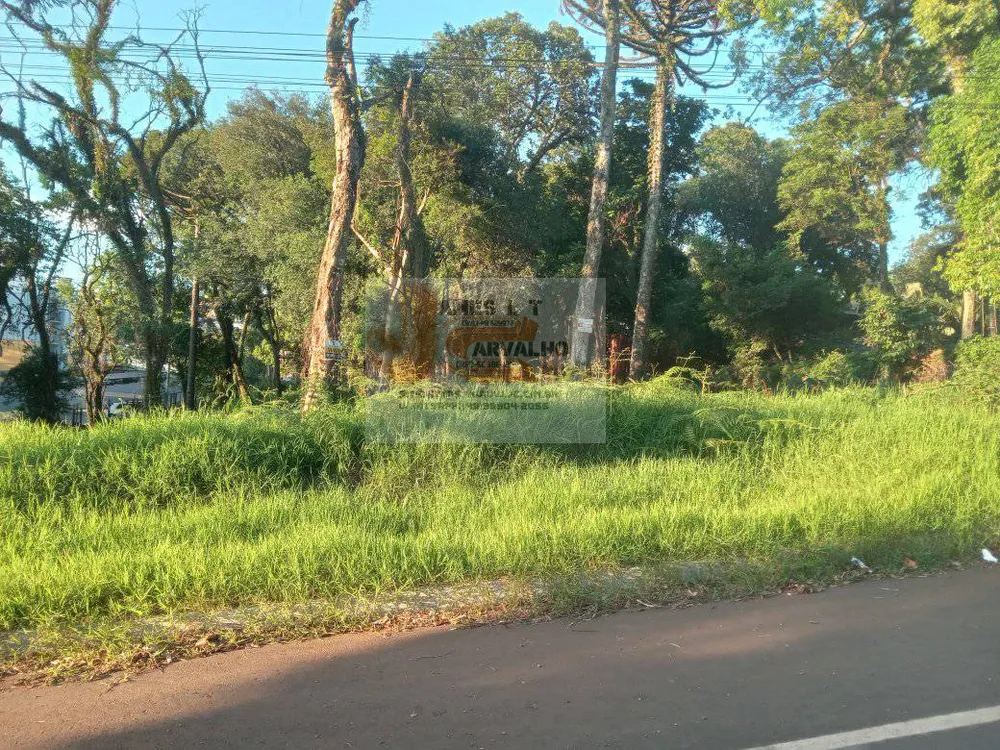 Terreno - Foto 1