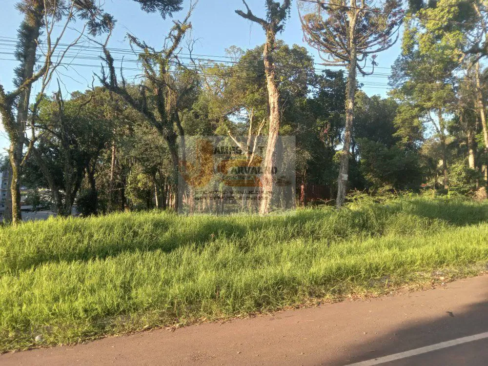Terreno - Foto 5