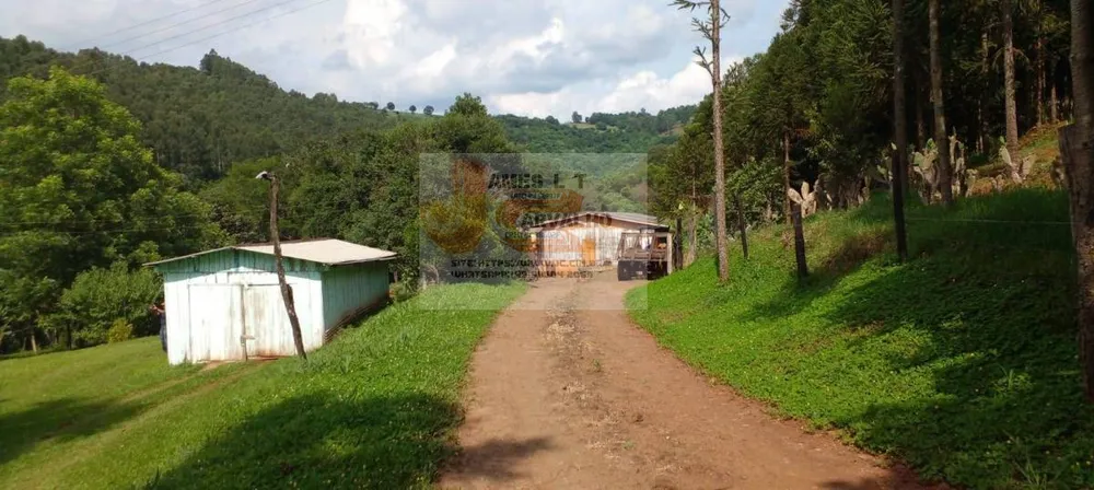 Terreno - Foto 4