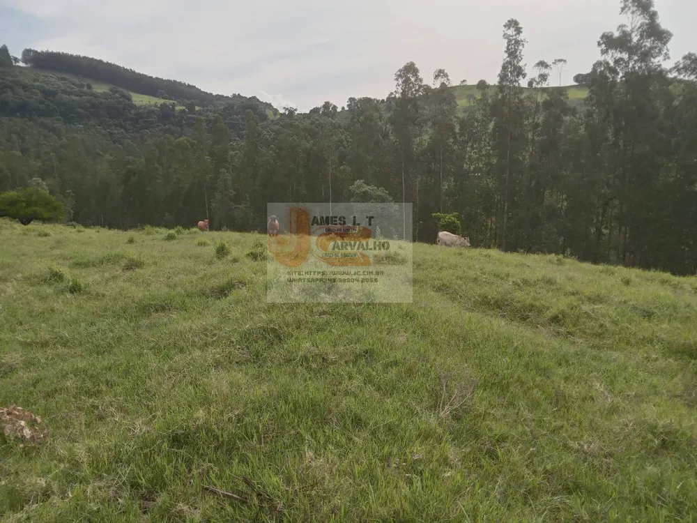 Terreno - Foto 5