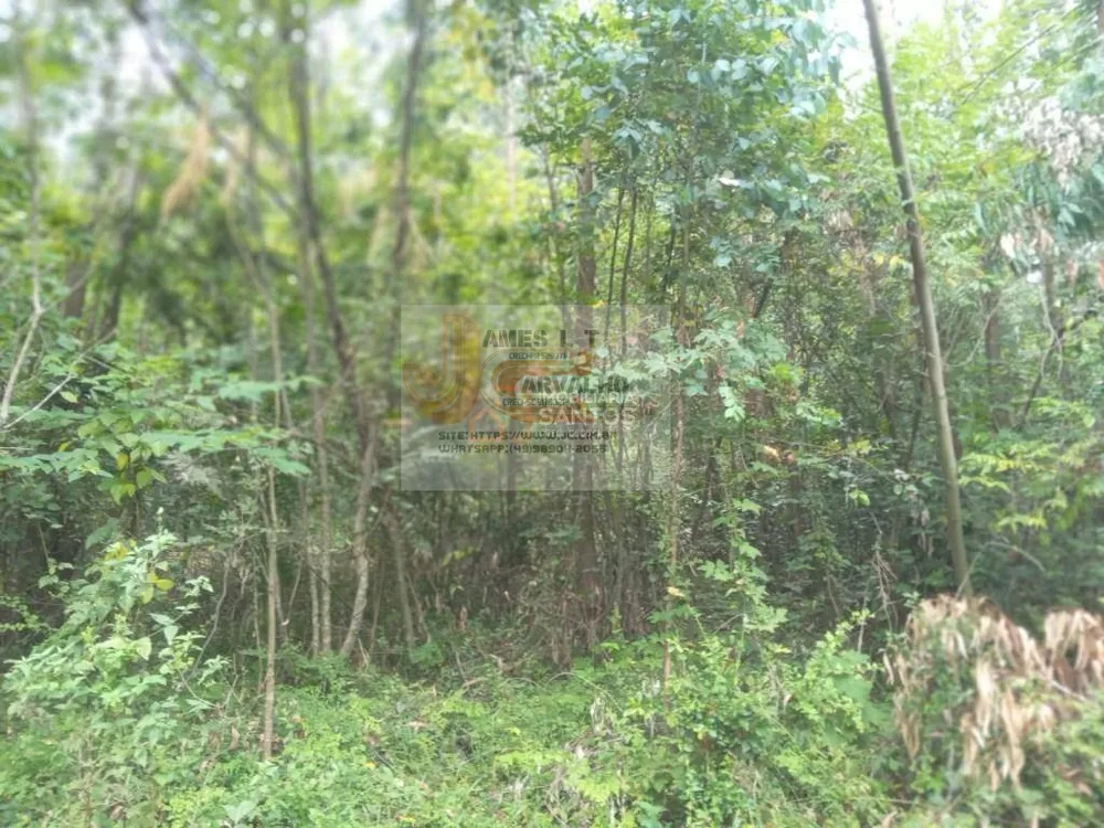 Terreno - Foto 7
