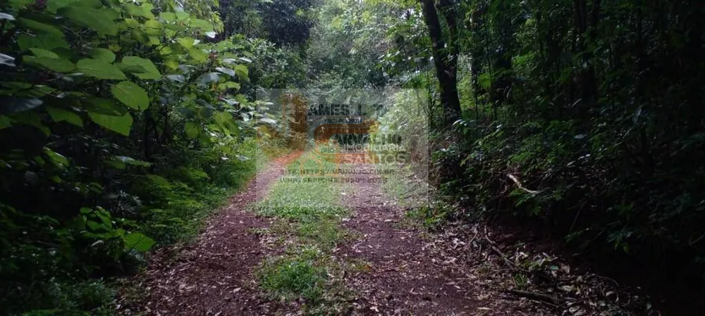 Terreno - Foto 3