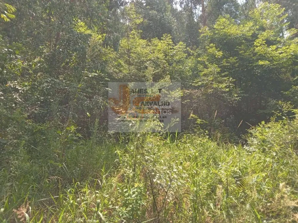 Terreno - Foto 4