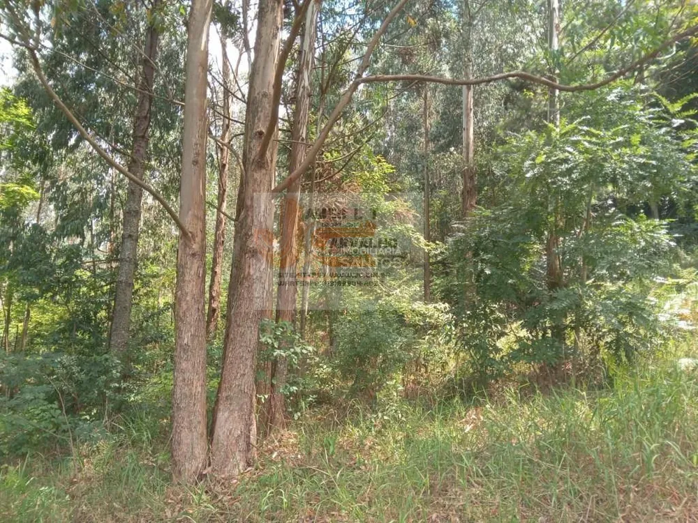 Terreno - Foto 6