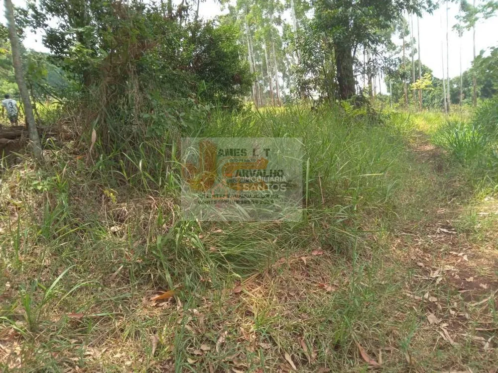 Terreno - Foto 5