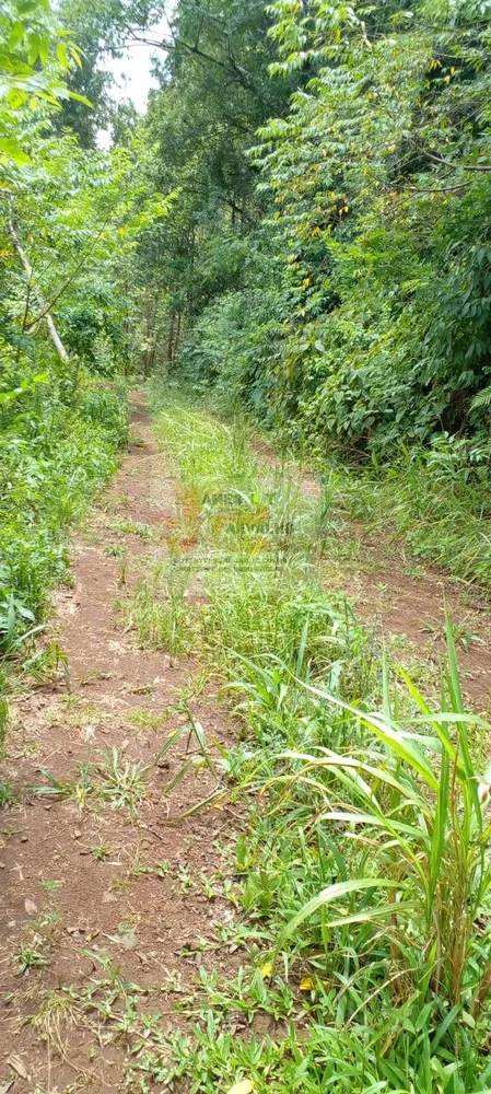 Terreno - Foto 12
