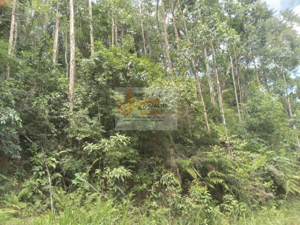 Terreno - Foto 2