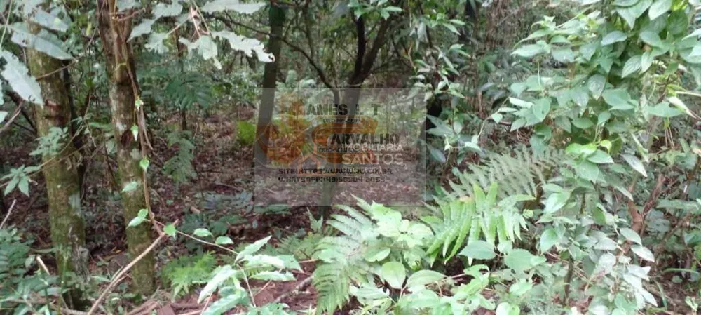 Terreno - Foto 8
