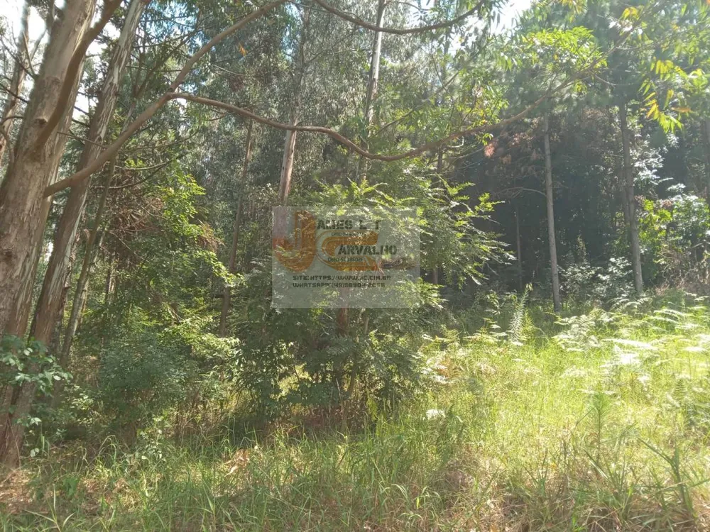 Terreno - Foto 9
