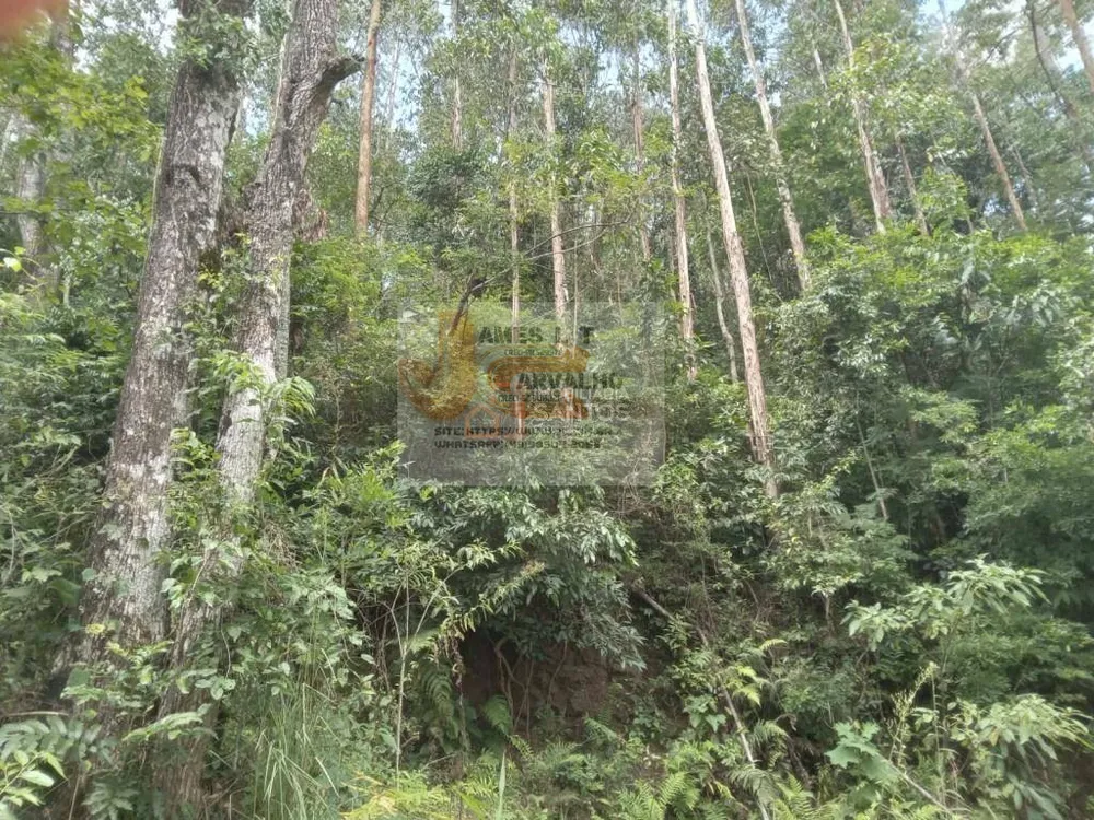 Terreno - Foto 1