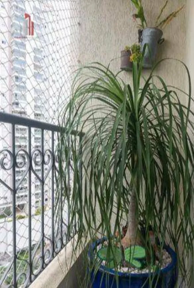 Apartamento, 3 quartos, 60 m² - Foto 4