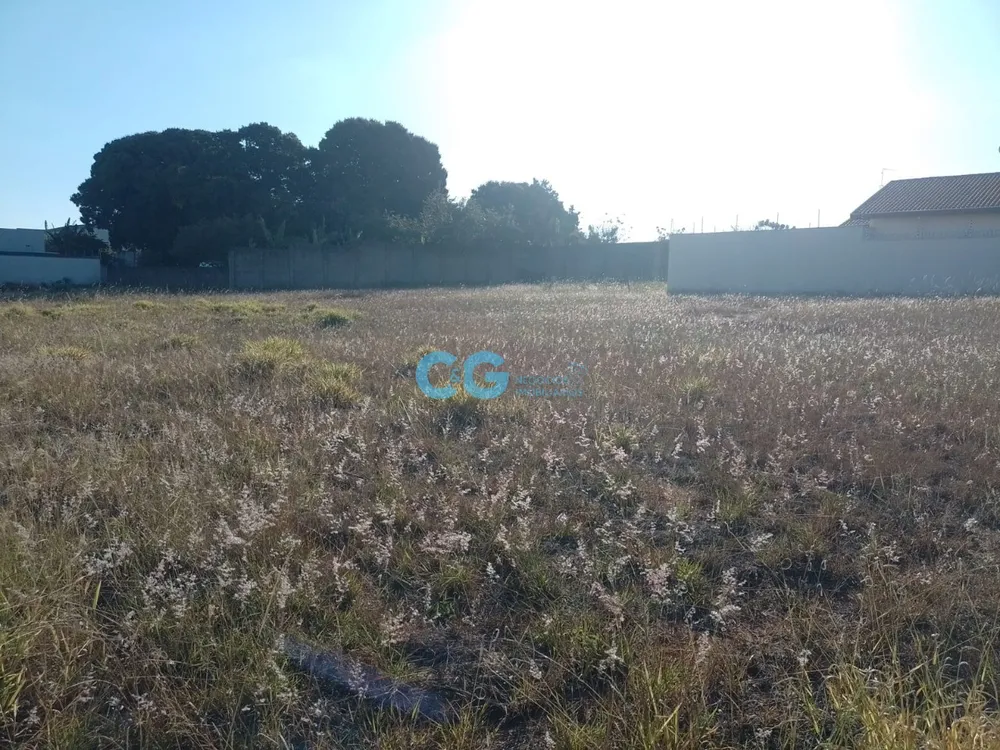 Loteamento e Condomínio, 3600 m² - Foto 6