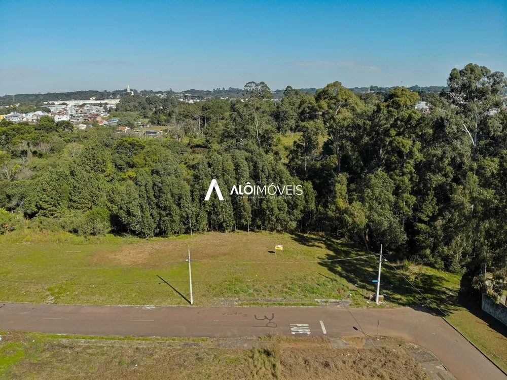 Terreno, 9006 m² - Foto 9