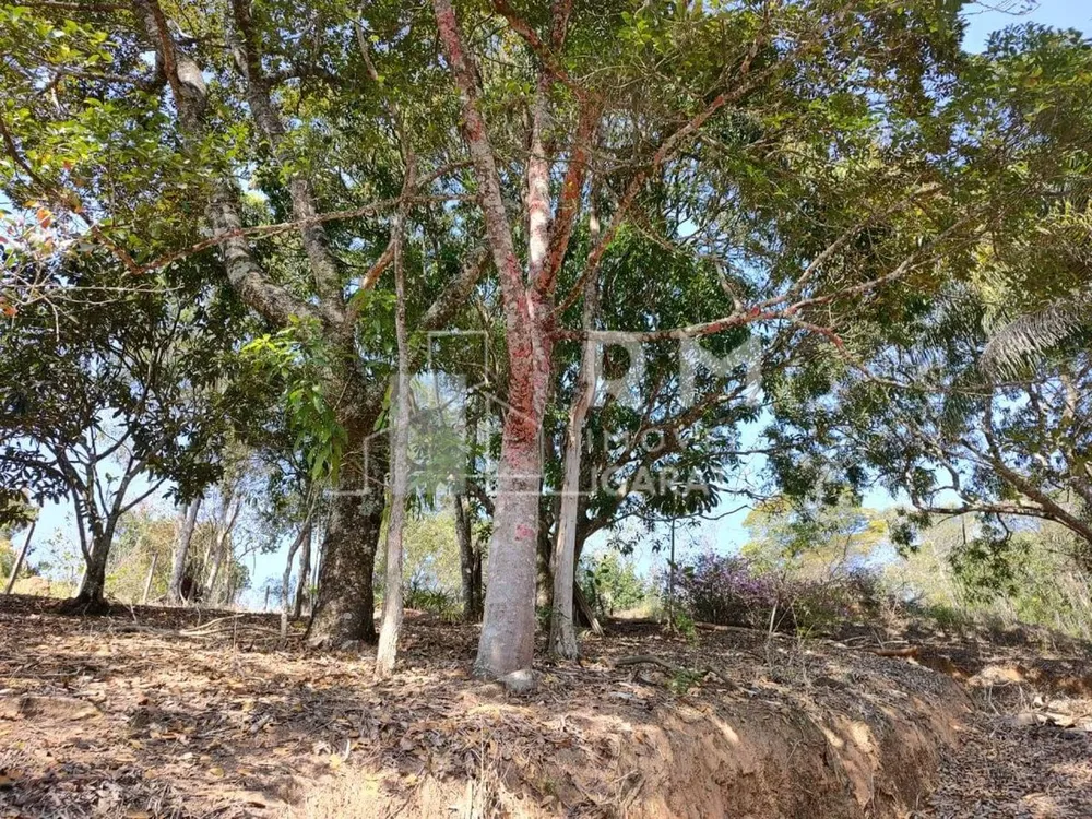 Terreno - Foto 4