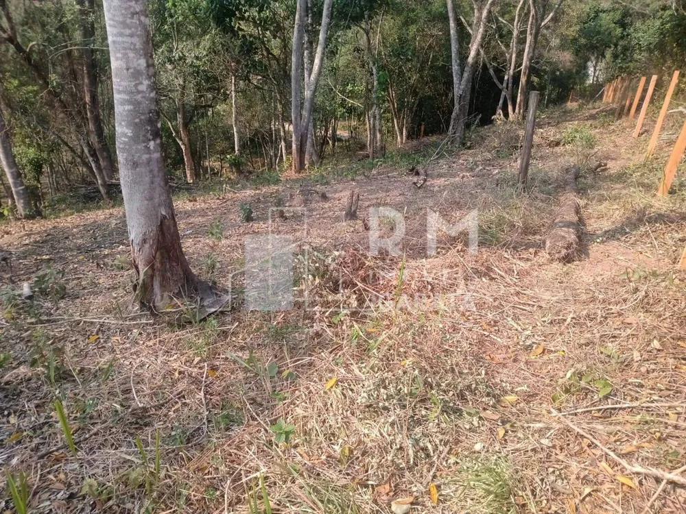 Terreno - Foto 6