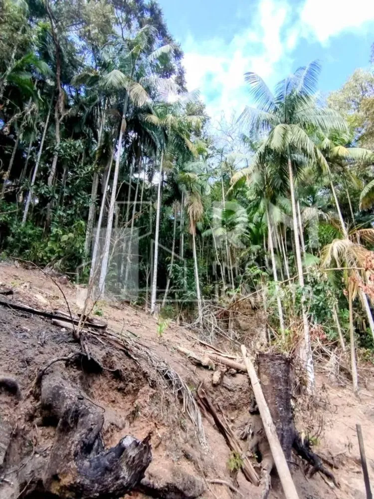 Sítio - Foto 4