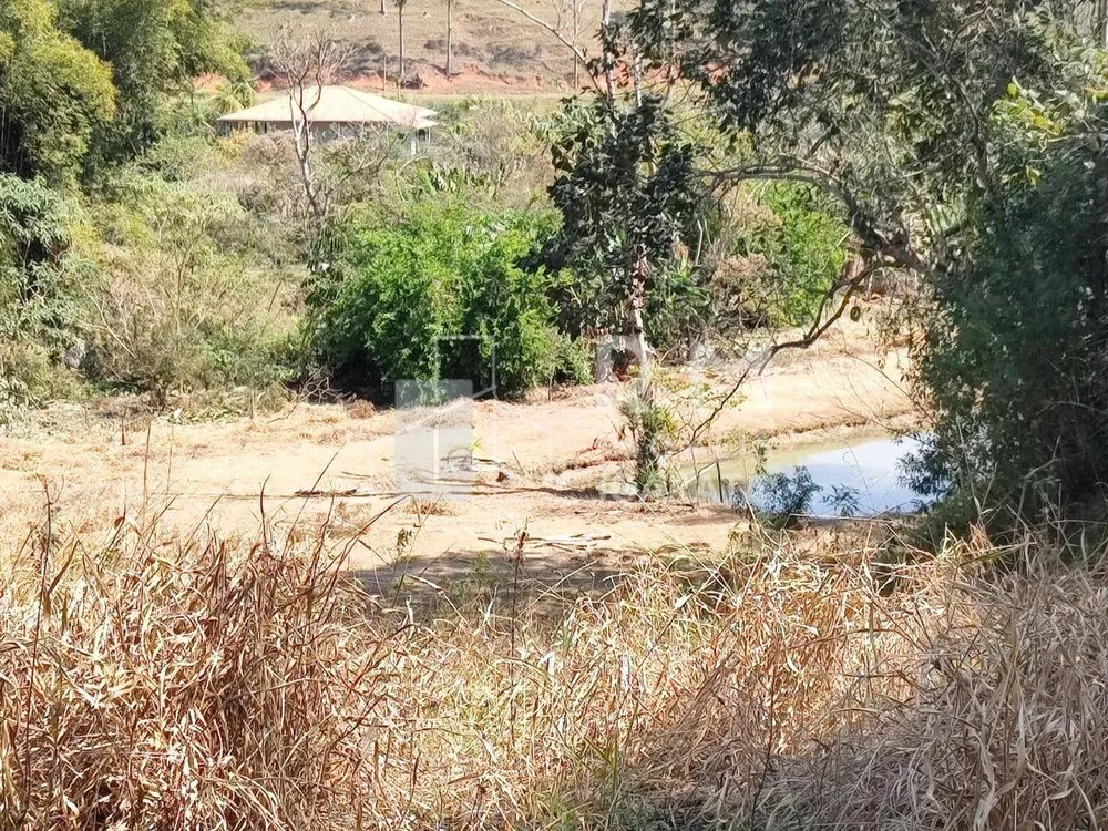 Sítio, 4 quartos, 5 hectares - Foto 6