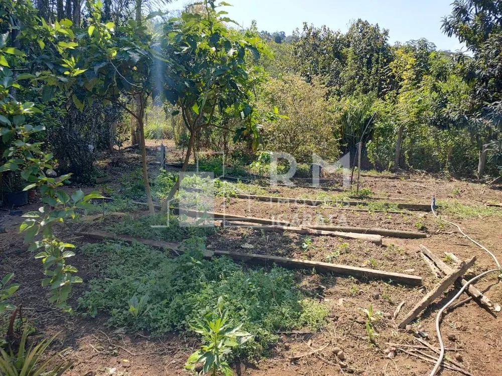 Sítio, 4 quartos, 5 hectares - Foto 3