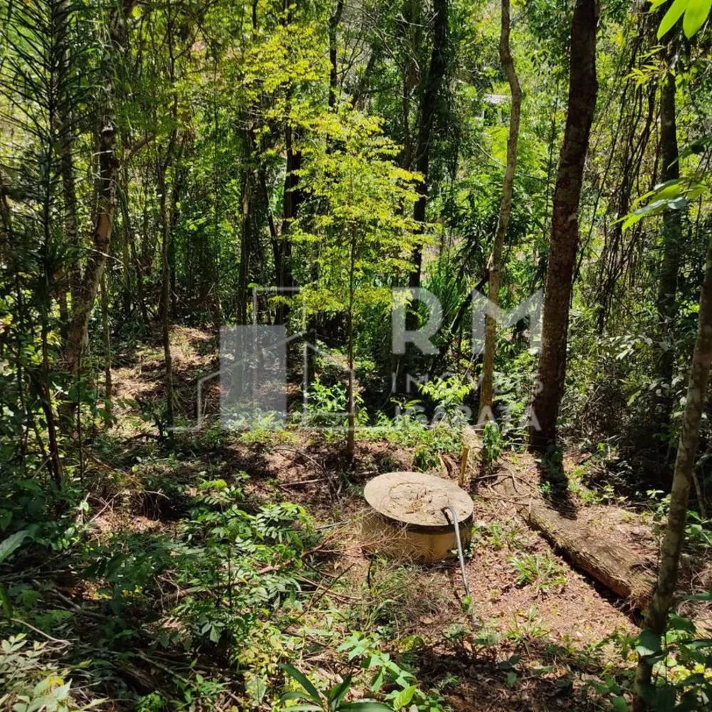 Terreno - Foto 1
