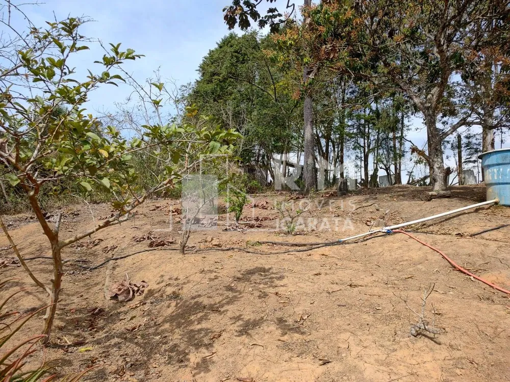 Terreno - Foto 5