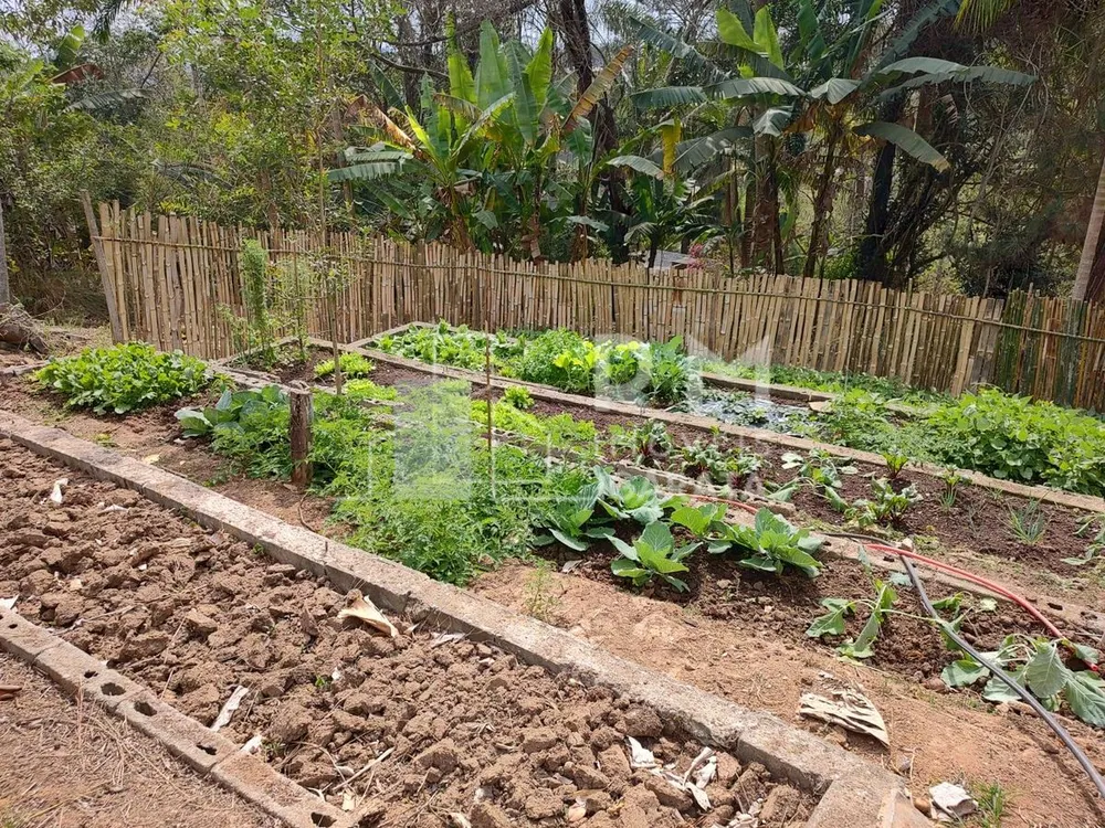 Terreno - Foto 1