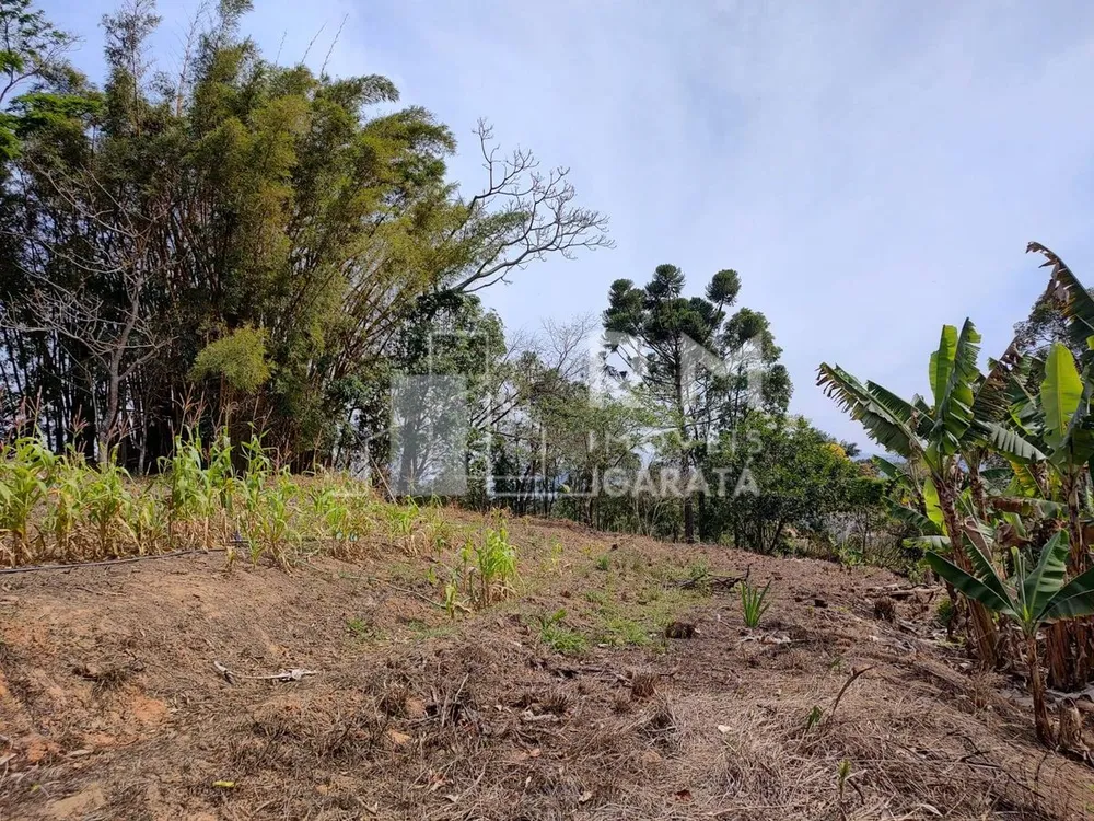 Terreno - Foto 2