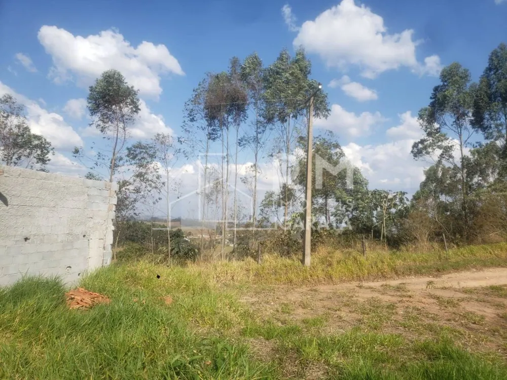 Terreno - Foto 7