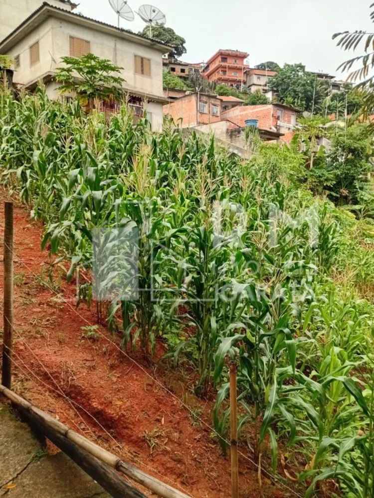 Terreno, 250 m² - Foto 3