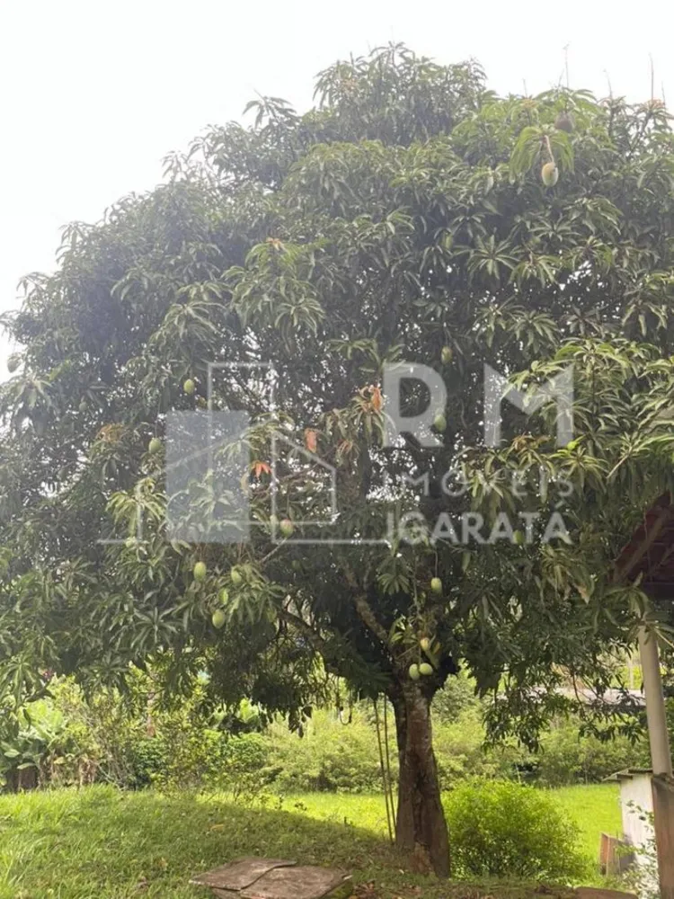 Chácara, 1 quarto, 4200 m² - Foto 1