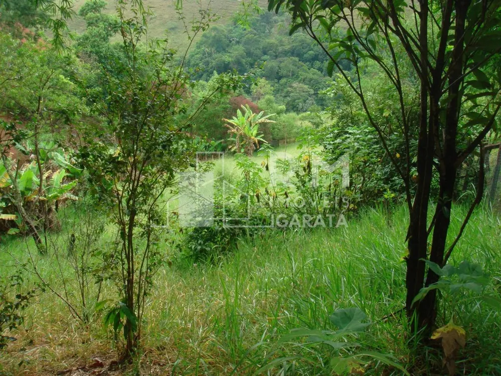 Chácara - Foto 2