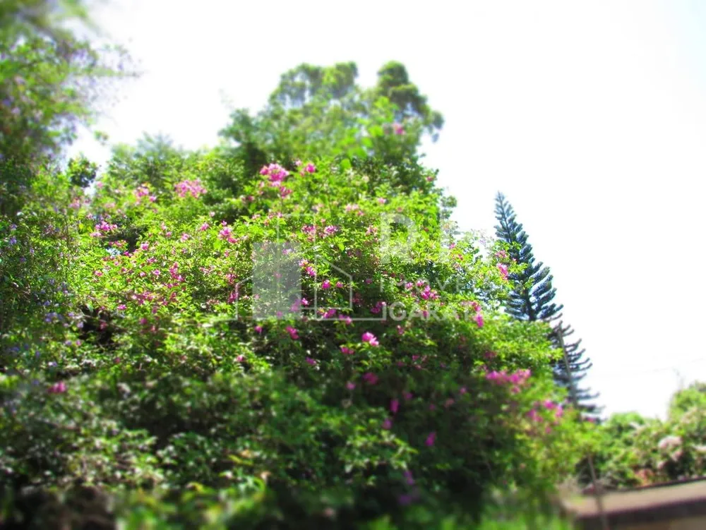 Chácara, 2 quartos - Foto 5