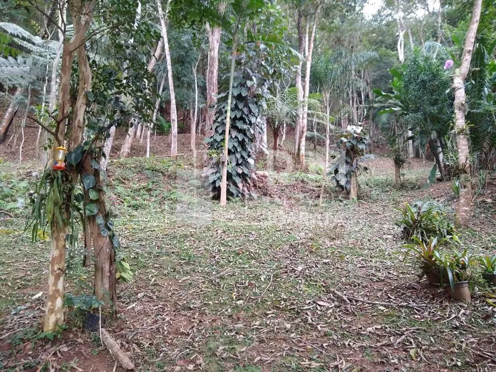 Chácara, 4 quartos, 1 hectares - Foto 4