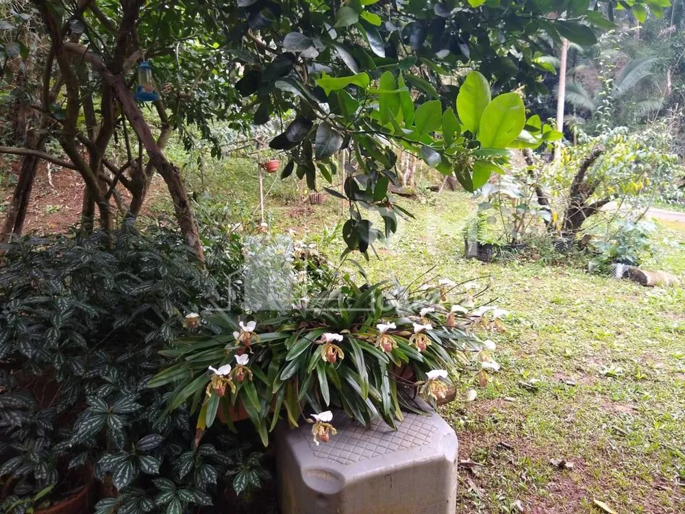 Chácara, 4 quartos, 1 hectares - Foto 7