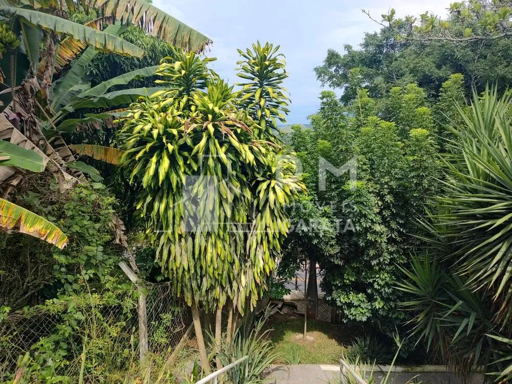 Chácara, 3 quartos - Foto 4