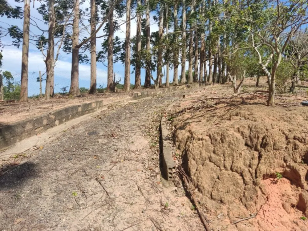 Chácara, 3 quartos, 8000 m² - Foto 6