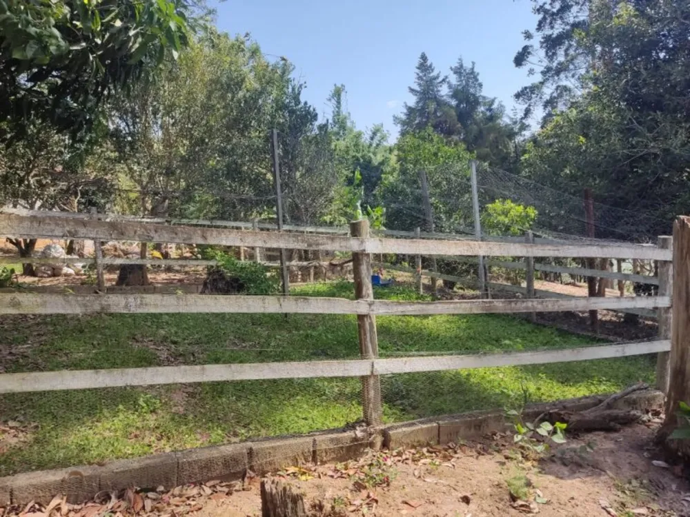 Chácara, 3 quartos, 8000 m² - Foto 3