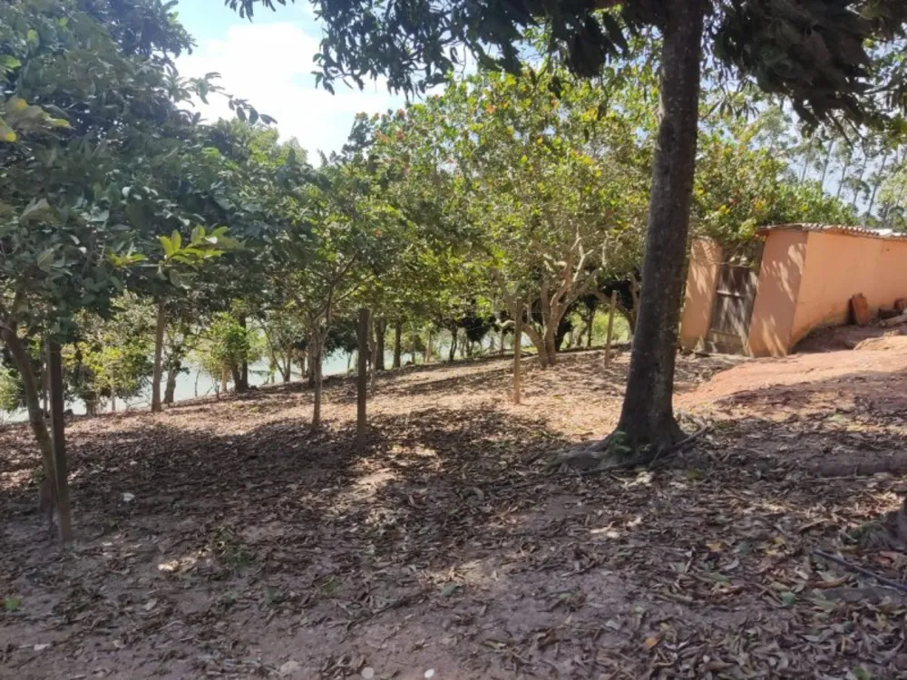 Chácara, 3 quartos, 8000 m² - Foto 11