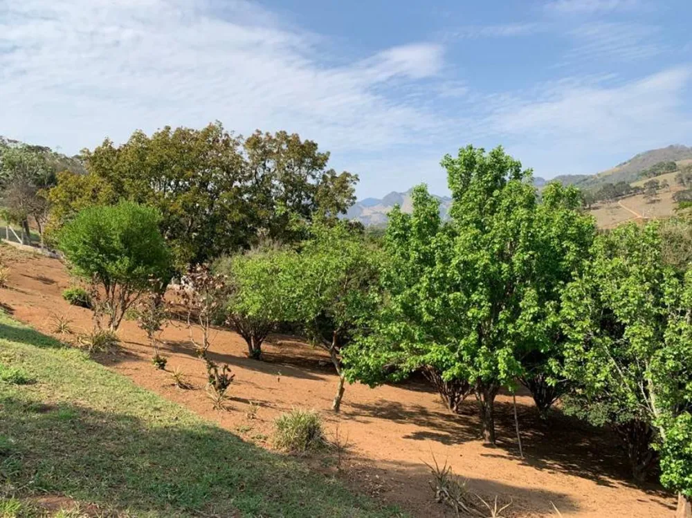 Chácara, 4 quartos, 250 m² - Foto 1